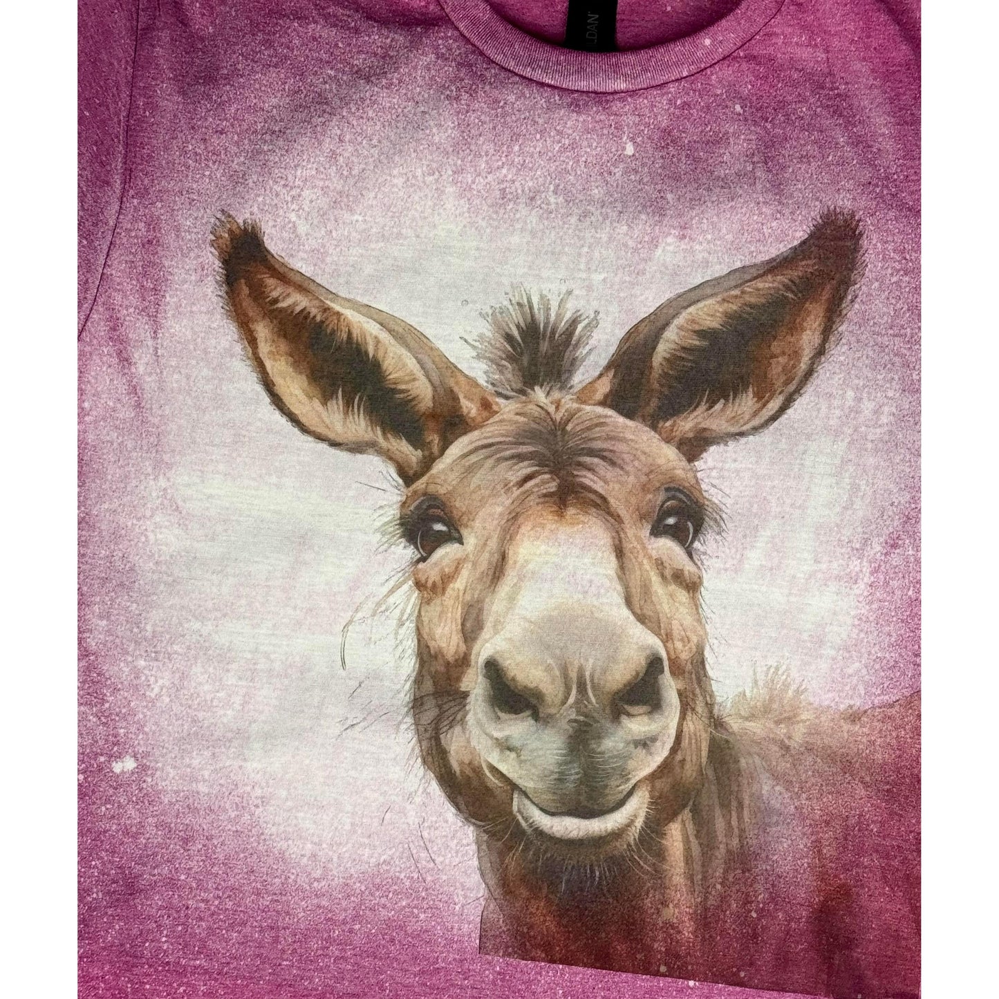 Donkey