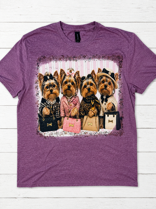 Shopping Yorkies