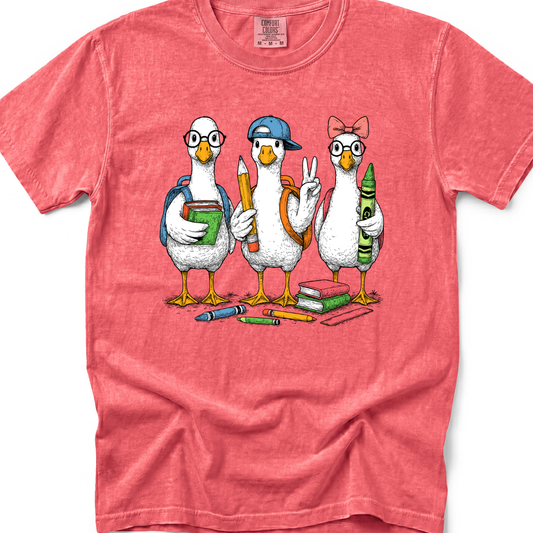 BTS Ducks