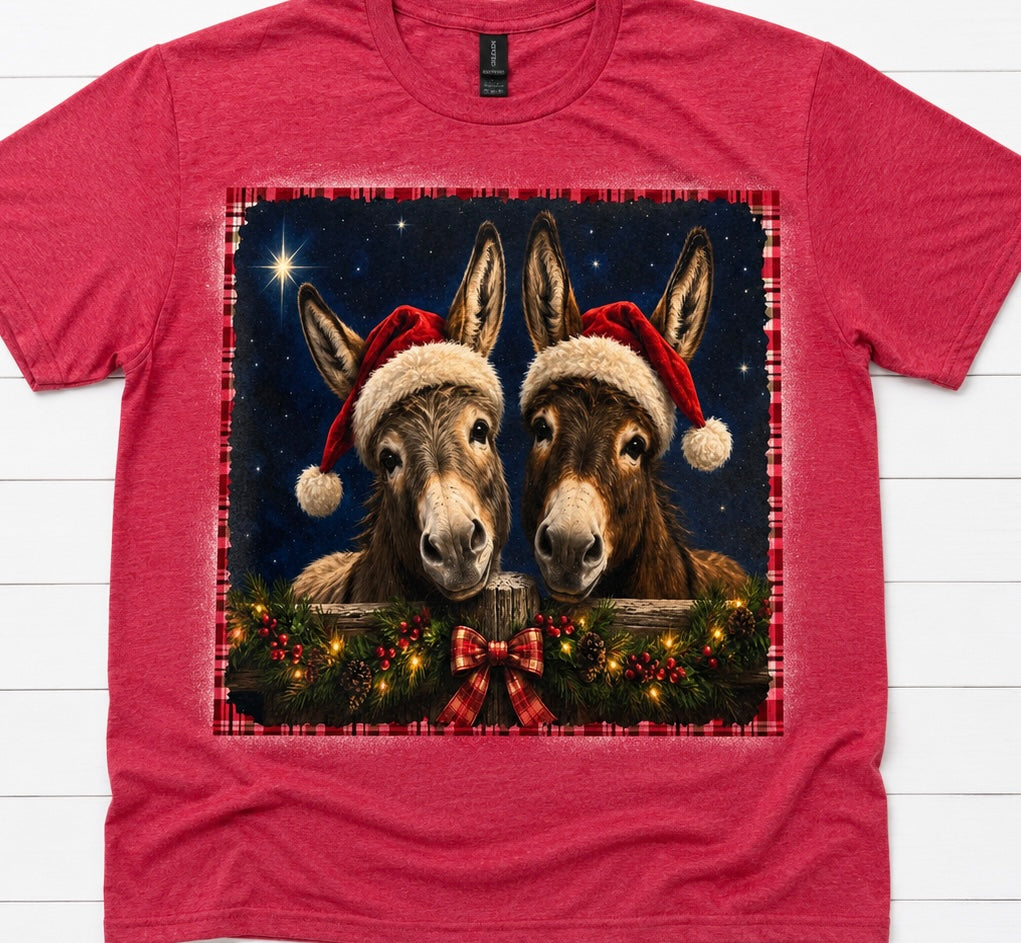 Christmas Donkeys