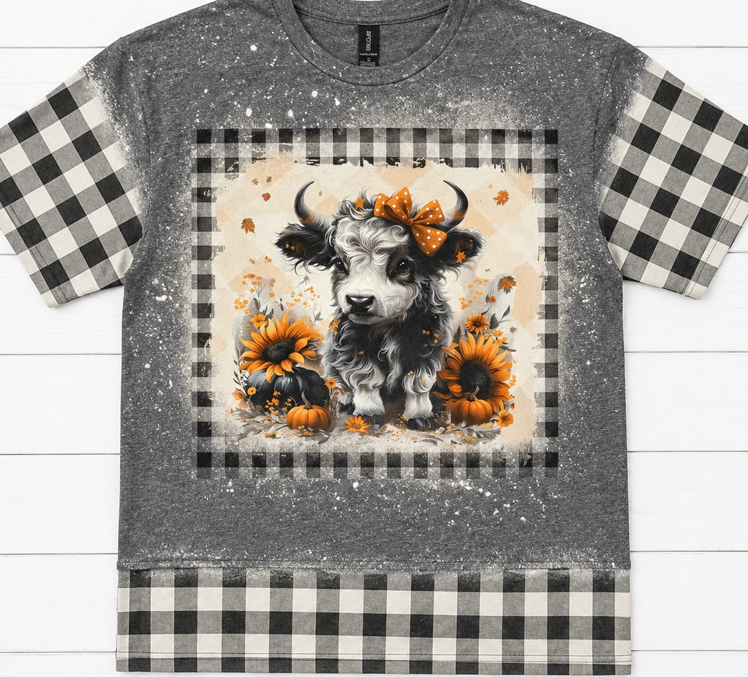 Buffalo Highland