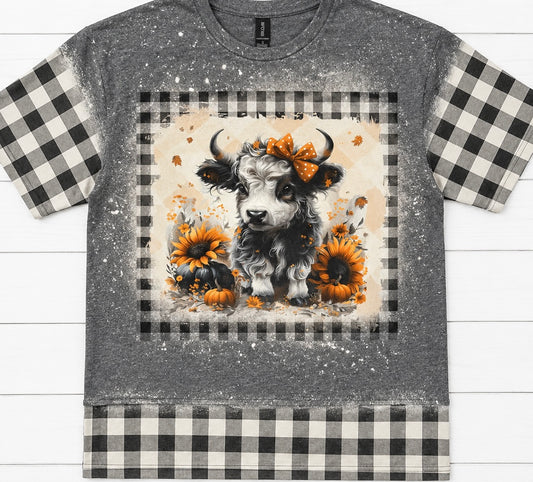 Buffalo Highland