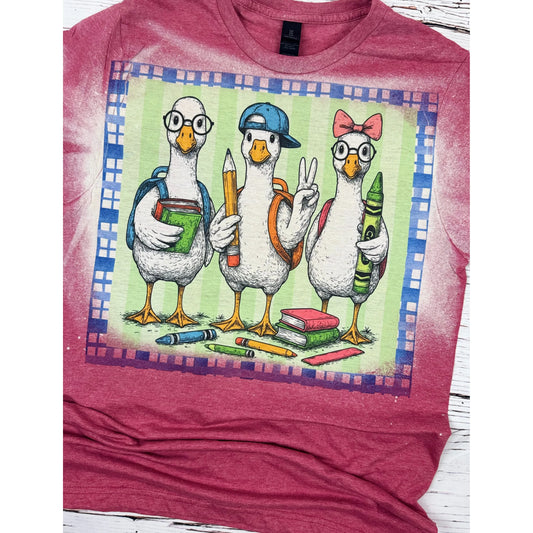Scholarly Ducks