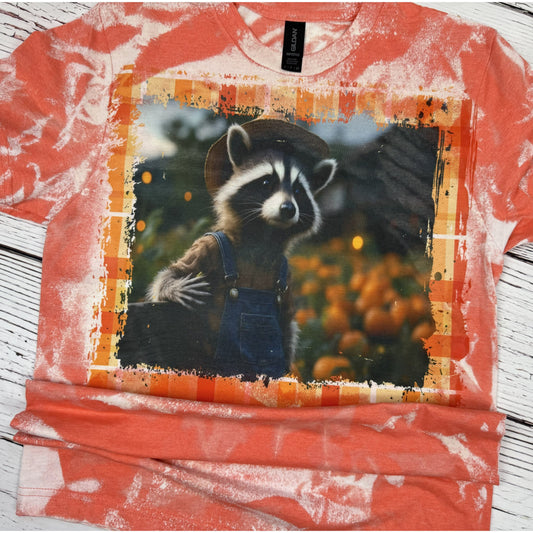 Pumpkin Pickin Racoon