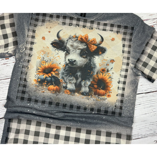 Buffalo Highland